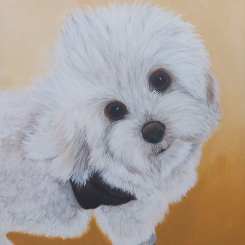 Tierportrait - Helga Maier - Art of Viktoria