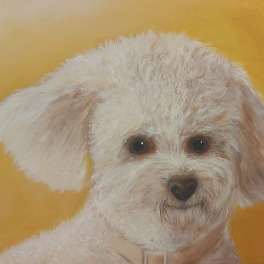 Tierportrait - Helga Maier - Art of Viktoria